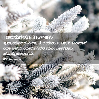 Picture 02 - 1 ಅರಸುಗಳು 8:3 KANIRV - ಇಸ್ರಾಯೇಲರ ಎಲ್ಲಾ - Bible Verse Picture
