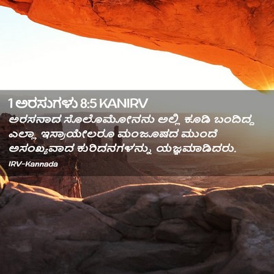 Picture 02 - 1 ಅರಸುಗಳು 8:5 KANIRV - ಅರಸನಾದ ಸೊಲೊಮೋನನು - Bible Verse Picture