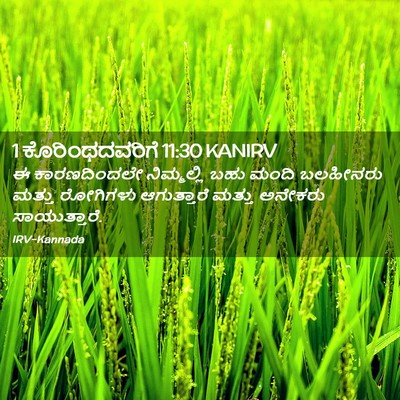 Picture 02 - 1 ಕೊರಿಂಥದವರಿಗೆ 11:30 KANIRV - ಈ ಕಾರಣದಿಂದಲೇ - Bible Verse Picture