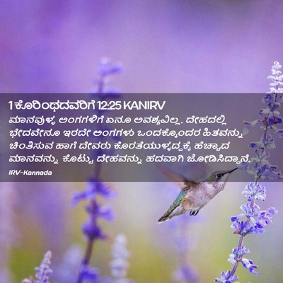 Picture 02 - 1 ಕೊರಿಂಥದವರಿಗೆ 12:25 KANIRV - ಮಾನವುಳ್ಳ ಅಂಗಗಳಿಗೆ - Bible Verse Picture