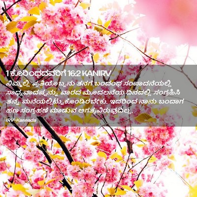 Picture 02 - 1 ಕೊರಿಂಥದವರಿಗೆ 16:2 KANIRV - ನಿಮ್ಮಲ್ಲಿ - Bible Verse Picture