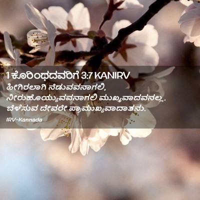 Picture 02 - 1 ಕೊರಿಂಥದವರಿಗೆ 3:7 KANIRV - ಹೀಗಿರಲಾಗಿ - Bible Verse Picture