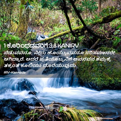 Picture 02 - 1 ಕೊರಿಂಥದವರಿಗೆ 3:8 KANIRV - ನೆಡುವವನೂ, ನೀರು - Bible Verse Picture