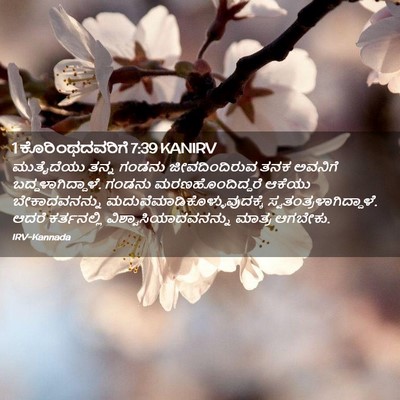 Picture 02 - 1 ಕೊರಿಂಥದವರಿಗೆ 7:39 KANIRV - ಮುತೈದೆಯು ತನ್ನ - Bible Verse Picture