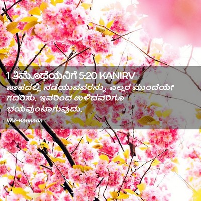 Picture 02 - 1 ತಿಮೊಥೆಯನಿಗೆ 5:20 KANIRV - ಪಾಪದಲ್ಲಿ - Bible Verse Picture