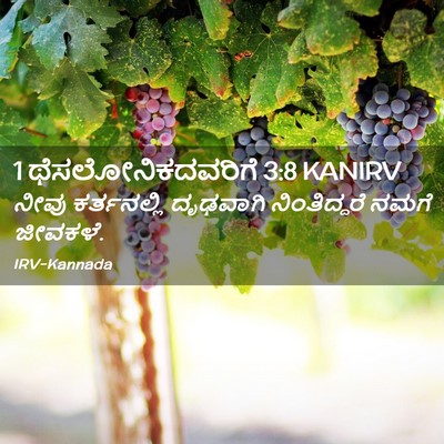 Picture 02 - 1 ಥೆಸಲೋನಿಕದವರಿಗೆ 3:8 KANIRV - ನೀವು ಕರ್ತನಲ್ಲಿ - Bible Verse Picture