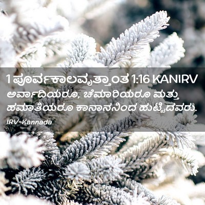 Picture 02 - 1 ಪೂರ್ವಕಾಲವೃತ್ತಾಂತ 1:16 KANIRV - ಅರ್ವಾದಿಯರೂ, - Bible Verse Picture