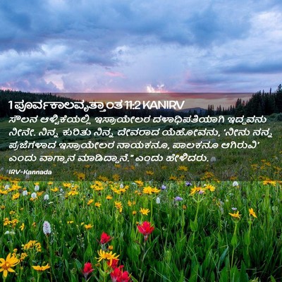 Picture 02 - 1 ಪೂರ್ವಕಾಲವೃತ್ತಾಂತ 11:2 KANIRV - ಸೌಲನ ಆಳ್ವಿಕೆಯಲ್ಲಿ - Bible Verse Picture