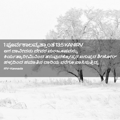 Picture 02 - 1 ಪೂರ್ವಕಾಲವೃತ್ತಾಂತ 13:5 KANIRV - ಆಗ ದಾವೀದನು ದೇವರ - Bible Verse Picture