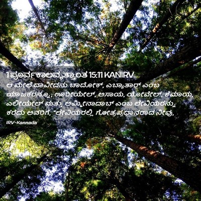 Picture 02 - 1 ಪೂರ್ವಕಾಲವೃತ್ತಾಂತ 15:11 KANIRV - ಆ ಮೇಲೆ ದಾವೀದನು - Bible Verse Picture