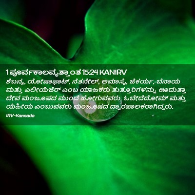 Picture 02 - 1 ಪೂರ್ವಕಾಲವೃತ್ತಾಂತ 15:24 KANIRV - ಶೆಬನ್ಯ, ಯೋಷಾಫಾಟ್, - Bible Verse Picture