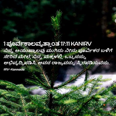 Picture 02 - 1 ಪೂರ್ವಕಾಲವೃತ್ತಾಂತ 17:11 KANIRV - ನಿನ್ನ ಆಯುಷ್ಕಾಲವು - Bible Verse Picture
