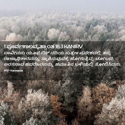 Picture 02 - 1 ಪೂರ್ವಕಾಲವೃತ್ತಾಂತ 18:3 KANIRV - ದಾವೀದನು - Bible Verse Picture