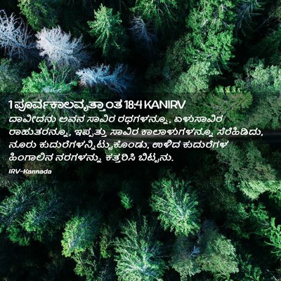 Picture 02 - 1 ಪೂರ್ವಕಾಲವೃತ್ತಾಂತ 18:4 KANIRV - ದಾವೀದನು ಅವನ ಸಾವಿರ - Bible Verse Picture