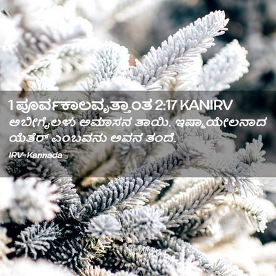 Picture 02 - 1 ಪೂರ್ವಕಾಲವೃತ್ತಾಂತ 2:17 KANIRV - ಅಬೀಗೈಲಳು ಅಮಾಸನ - Bible Verse Picture