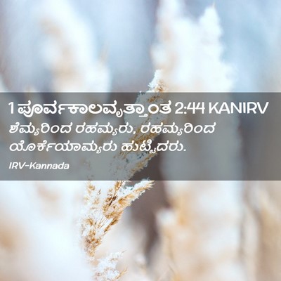 Picture 02 - 1 ಪೂರ್ವಕಾಲವೃತ್ತಾಂತ 2:44 KANIRV - ಶೆಮ್ಯರಿಂದ - Bible Verse Picture