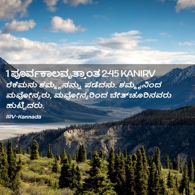Picture 02 - 1 ಪೂರ್ವಕಾಲವೃತ್ತಾಂತ 2:45 KANIRV - ರೆಕೆಮನು - Bible Verse Picture