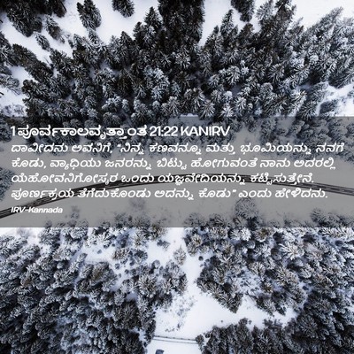 Picture 02 - 1 ಪೂರ್ವಕಾಲವೃತ್ತಾಂತ 21:22 KANIRV - ದಾವೀದನು ಅವನಿಗೆ, - Bible Verse Picture