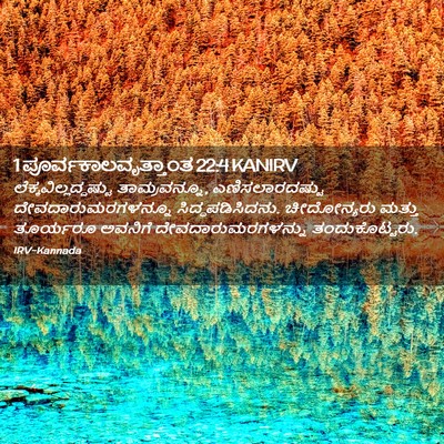 Picture 02 - 1 ಪೂರ್ವಕಾಲವೃತ್ತಾಂತ 22:4 KANIRV -  - Bible Verse Picture