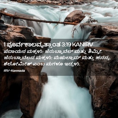 Picture 02 - 1 ಪೂರ್ವಕಾಲವೃತ್ತಾಂತ 3:19 KANIRV - ಪೆದಾಯನ ಮಕ್ಕಳು: - Bible Verse Picture