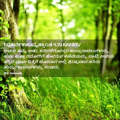 Picture 02 - 1 ಪೂರ್ವಕಾಲವೃತ್ತಾಂತ 4:39 KANIRV - ಅವರು ತಮ್ಮ ಆಡು, - Bible Verse Picture