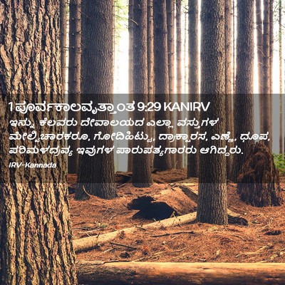 Picture 02 - 1 ಪೂರ್ವಕಾಲವೃತ್ತಾಂತ 9:29 KANIRV - ಇನ್ನು ಕೆಲವರು - Bible Verse Picture