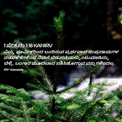 Picture 02 - 1 ಪೇತ್ರನು 1:18 KANIRV - ನಿಮ್ಮ ಪೂರ್ವಿಕರಿಂದ - Bible Verse Picture
