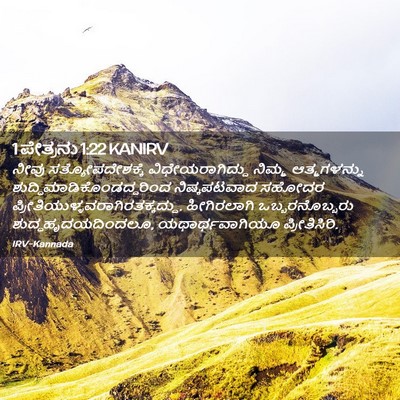 Picture 02 - 1 ಪೇತ್ರನು 1:22 KANIRV - ನೀವು - Bible Verse Picture