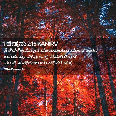 Picture 02 - 1 ಪೇತ್ರನು 2:15 KANIRV - ತಿಳಿವಳಿಕೆಯಿಲ್ಲದೆ - Bible Verse Picture