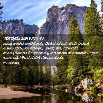 Picture 02 - 1 ಪೇತ್ರನು 2:24 KANIRV - ನಾವು ಪಾಪದ ಪಾಲಿಗೆ - Bible Verse Picture