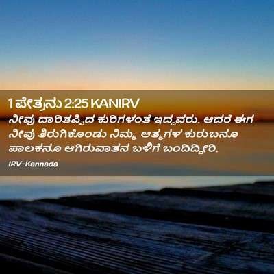 Picture 02 - 1 ಪೇತ್ರನು 2:25 KANIRV - ನೀವು ದಾರಿತಪ್ಪಿದ - Bible Verse Picture