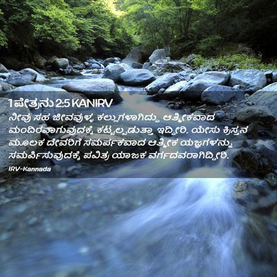 Picture 02 - 1 ಪೇತ್ರನು 2:5 KANIRV - ನೀವು ಸಹ ಜೀವವುಳ್ಳ - Bible Verse Picture