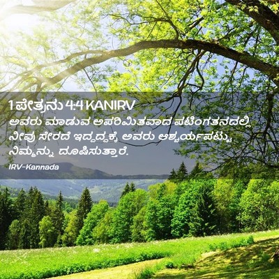 Picture 02 - 1 ಪೇತ್ರನು 4:4 KANIRV - ಅವರು ಮಾಡುವ - Bible Verse Picture