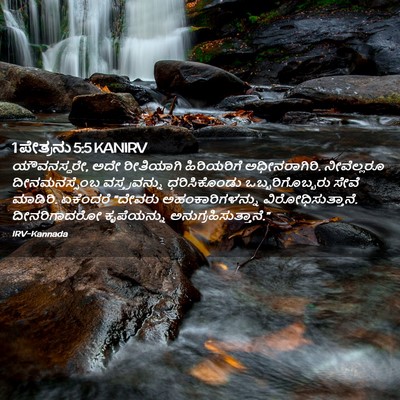 Picture 02 - 1 ಪೇತ್ರನು 5:5 KANIRV - ಯೌವನಸ್ಥರೇ, ಅದೇ - Bible Verse Picture