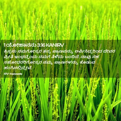 Picture 02 - 1 ಯೋಹಾನನು 3:16 KANIRV - ಕ್ರಿಸ್ತನು - Bible Verse Picture