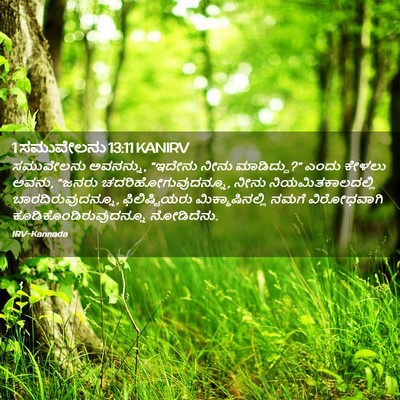 Picture 02 - 1 ಸಮುವೇಲನು 13:11 KANIRV - ಸಮುವೇಲನು ಅವನನ್ನು, - Bible Verse Picture