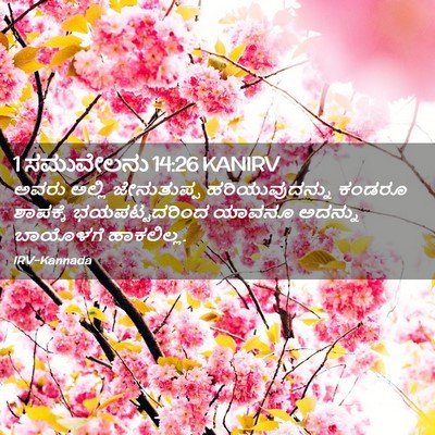 Picture 02 - 1 ಸಮುವೇಲನು 14:26 KANIRV - ಅವರು ಅಲ್ಲಿ - Bible Verse Picture