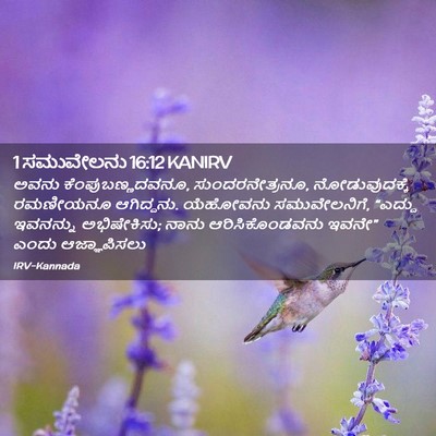 Picture 02 - 1 ಸಮುವೇಲನು 16:12 KANIRV - ಅವನು - Bible Verse Picture