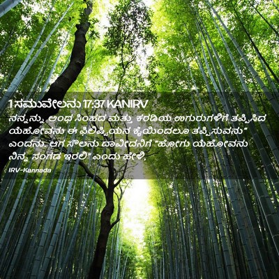 Picture 02 - 1 ಸಮುವೇಲನು 17:37 KANIRV - ನನ್ನನ್ನು ಅಂಥ - Bible Verse Picture