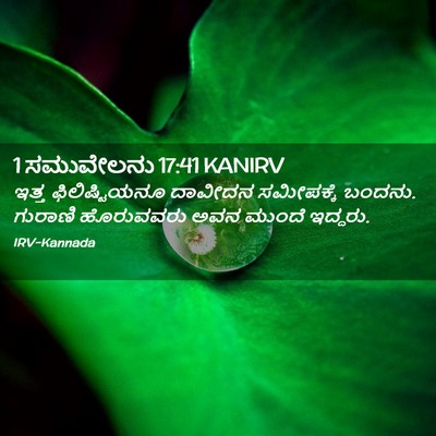 Picture 02 - 1 ಸಮುವೇಲನು 17:41 KANIRV - ಇತ್ತ ಫಿಲಿಷ್ಟಿಯನೂ - Bible Verse Picture
