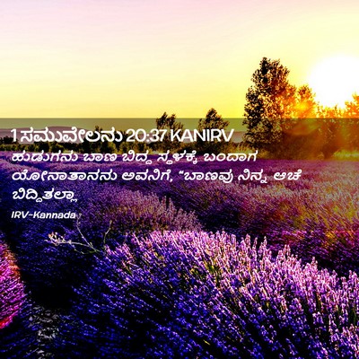 Picture 02 - 1 ಸಮುವೇಲನು 20:37 KANIRV - ಹುಡುಗನು ಬಾಣ ಬಿದ್ದ - Bible Verse Picture
