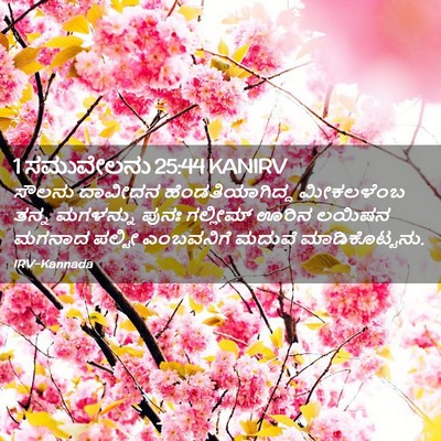 Picture 02 - 1 ಸಮುವೇಲನು 25:44 KANIRV - ಸೌಲನು ದಾವೀದನ - Bible Verse Picture