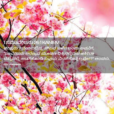 Picture 02 - 1 ಸಮುವೇಲನು 26:1 KANIRV - ಜೀಫ್ಯರು - Bible Verse Picture