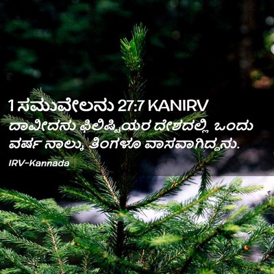 Picture 02 - 1 ಸಮುವೇಲನು 27:7 KANIRV - ದಾವೀದನು - Bible Verse Picture