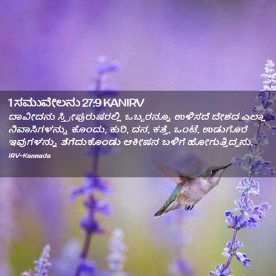 Picture 02 - 1 ಸಮುವೇಲನು 27:9 KANIRV - ದಾವೀದನು - Bible Verse Picture