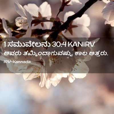 Picture 02 - 1 ಸಮುವೇಲನು 30:4 KANIRV - ಅವರು - Bible Verse Picture