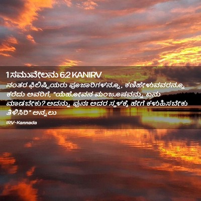 Picture 02 - 1 ಸಮುವೇಲನು 6:2 KANIRV - ನಂತರ ಫಿಲಿಷ್ಟಿಯರು - Bible Verse Picture