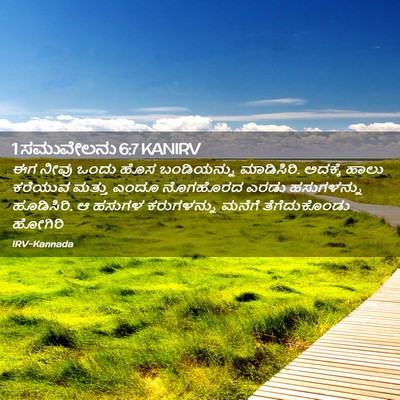 Picture 02 - 1 ಸಮುವೇಲನು 6:7 KANIRV - ಈಗ ನೀವು ಒಂದು ಹೊಸ - Bible Verse Picture