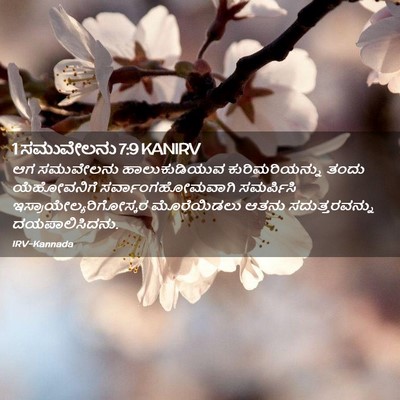 Picture 02 - 1 ಸಮುವೇಲನು 7:9 KANIRV - ಆಗ ಸಮುವೇಲನು - Bible Verse Picture