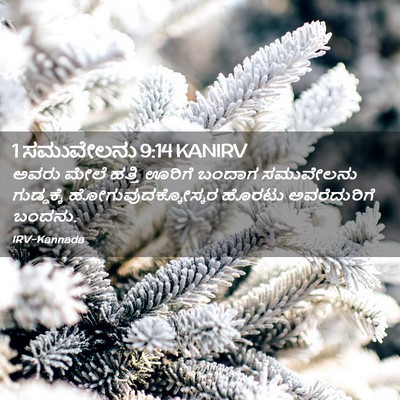 Picture 02 - 1 ಸಮುವೇಲನು 9:14 KANIRV - ಅವರು ಮೇಲೆ ಹತ್ತಿ - Bible Verse Picture